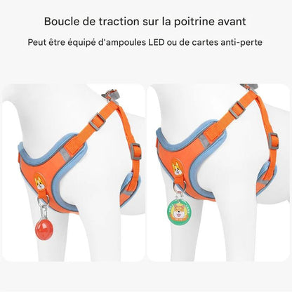 Harnais et Laisse Réglables pour Petit Chien & Chiot – Antitraction, Réfléchissant & Confortable