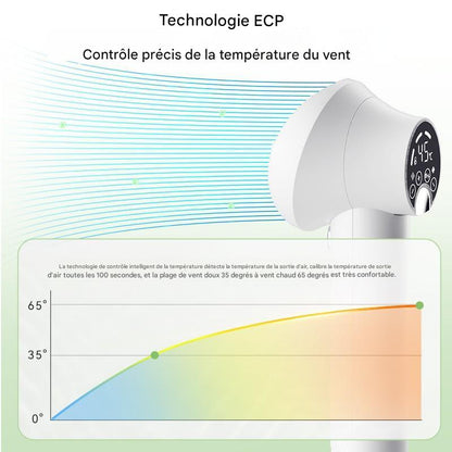 Sèche-Cheveux Intelligent 2 en 1 avec Brosse Intégrée pour Chiens & Chats