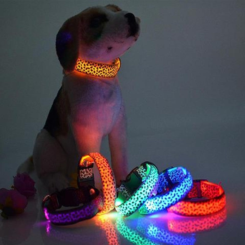 Collier LED Léopard pour Chien – Sécurité Nocturne & Style Tendance