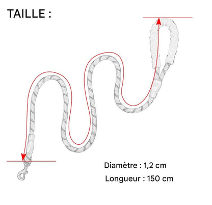 Laisse Réfléchissante en Nylon pour Petits, Moyens & Grands Chiens