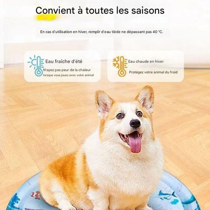 Tapis Rafraîchissant d’Été pour Chiens & Chats – Lit à Eau Fraîche Anti-Chaleur