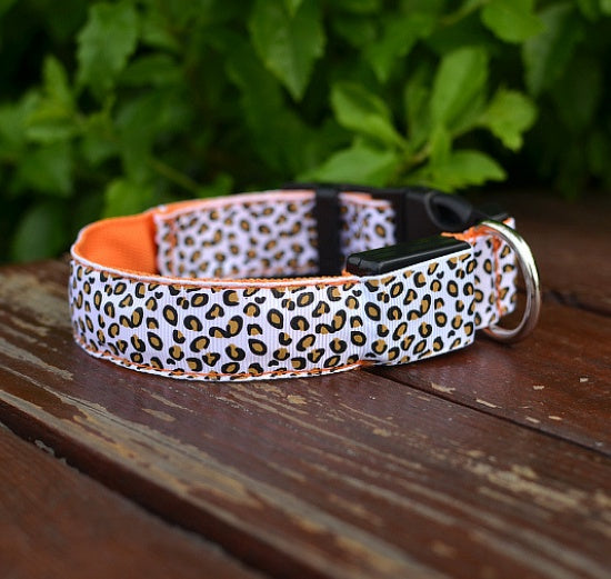 Collier LED Léopard pour Chien – Sécurité Nocturne & Style Tendance
