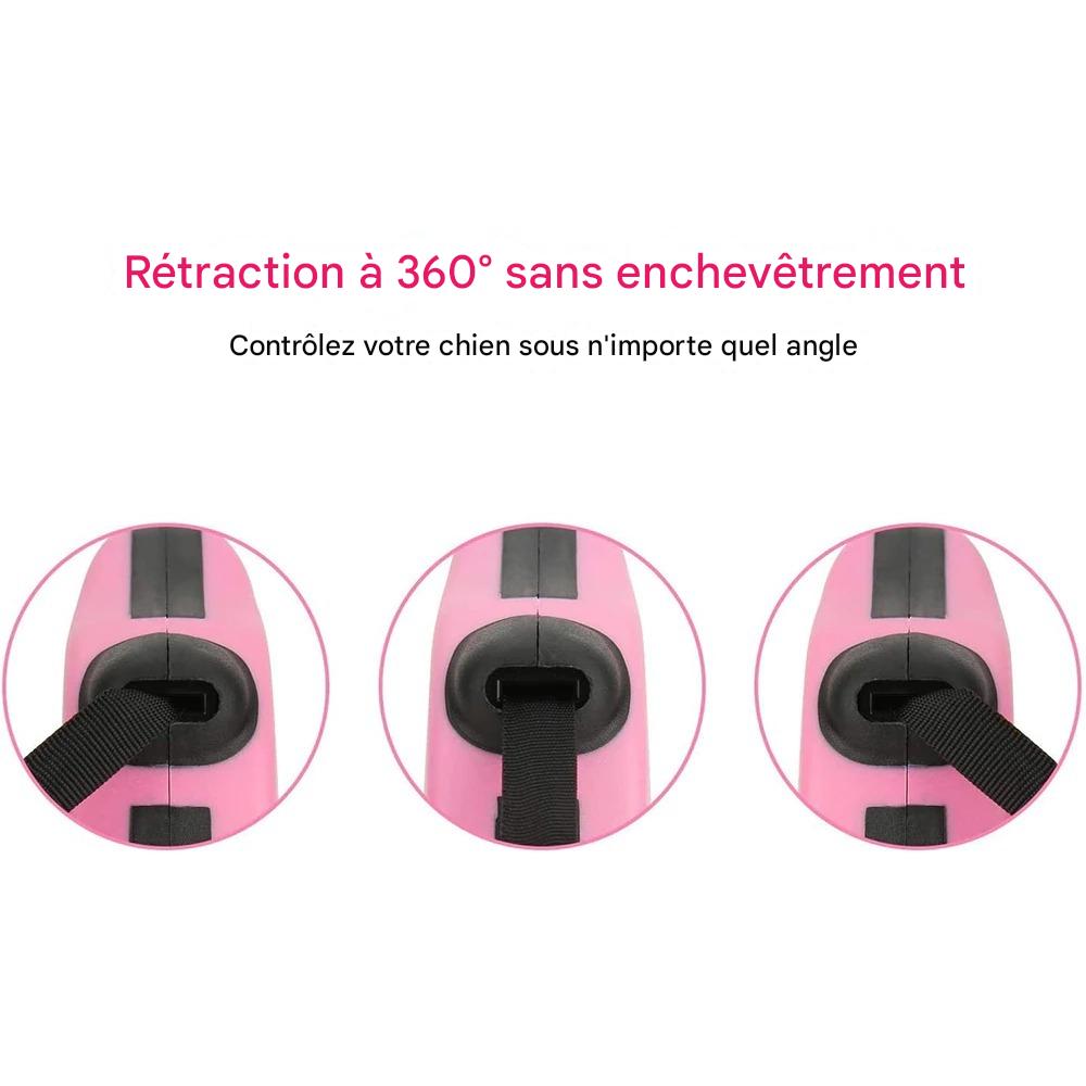 Laisse Rétractable Automatique Chien & Chat – 3m ou 5m | Nylon Résistant & Anti-enchevêtrement