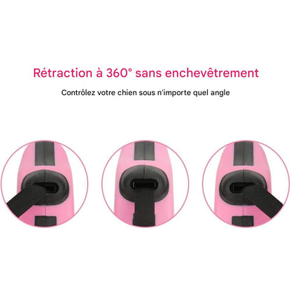 Laisse Rétractable Automatique Chien & Chat – 3m ou 5m | Nylon Résistant & Anti-enchevêtrement