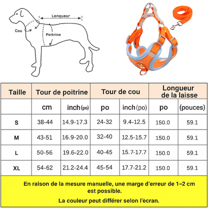 Harnais et Laisse Réglables pour Petit Chien & Chiot – Antitraction, Réfléchissant & Confortable