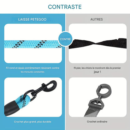 Laisse Élastique Mains Libres pour Chien – Réfléchissante & Confortable (Jogging & Running)