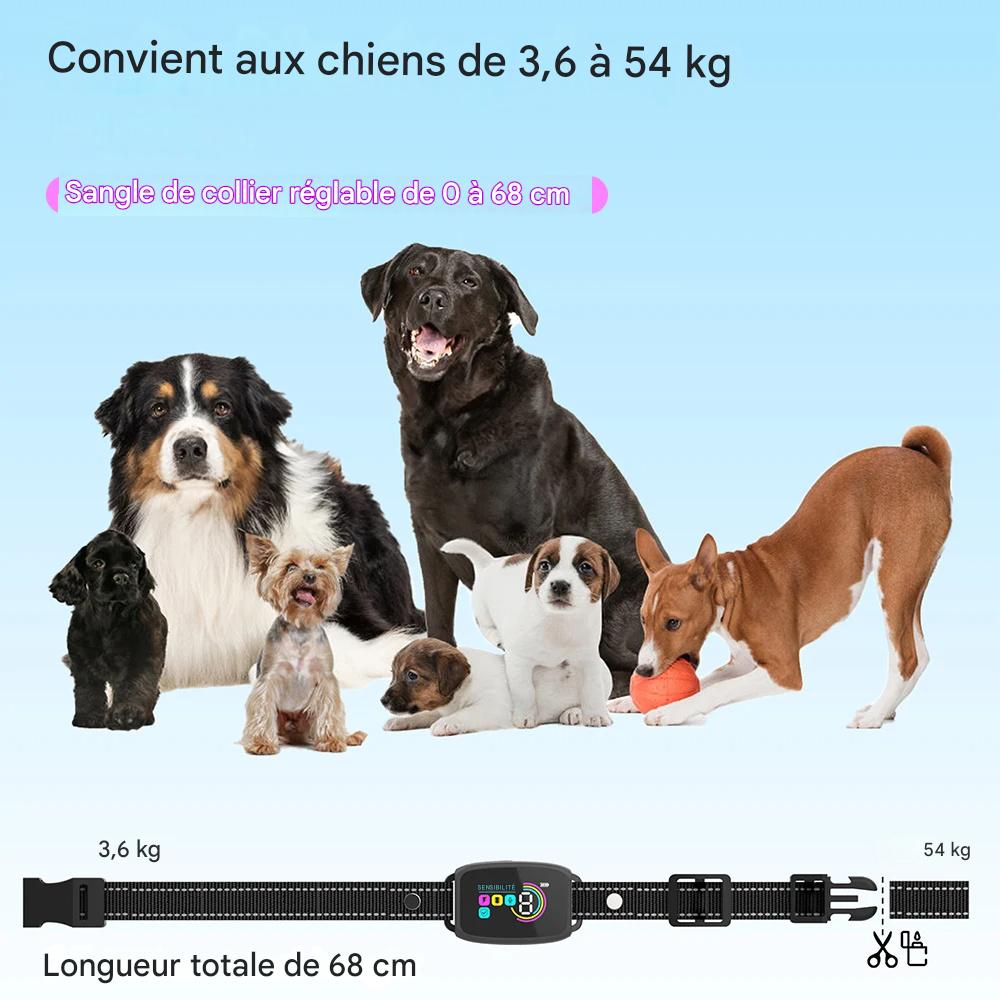Collier Anti-Aboiement Intelligent pour Chien – Rechargeable, HD Display & Étanche IP67