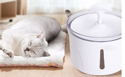 Fontaine à Eau Automatique pour Chiens & Chats – Eau Pure & Fraîche en Continu