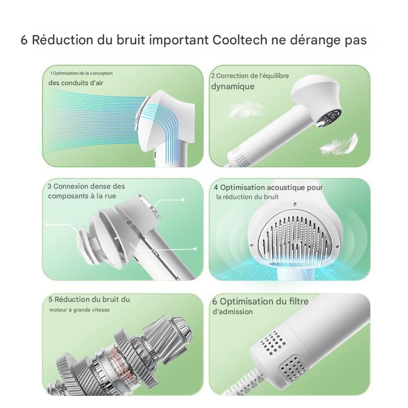Sèche-Cheveux Intelligent 2 en 1 avec Brosse Intégrée pour Chiens & Chats