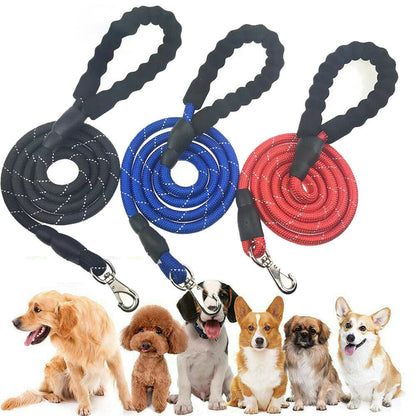 Laisse Élastique Mains Libres pour Chien – Réfléchissante & Confortable (Jogging & Running)