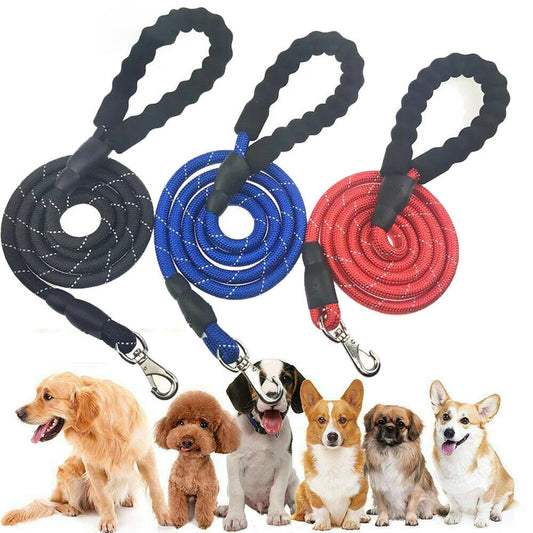 Laisse Élastique Mains Libres pour Chien – Réfléchissante & Confortable (Jogging & Running)
