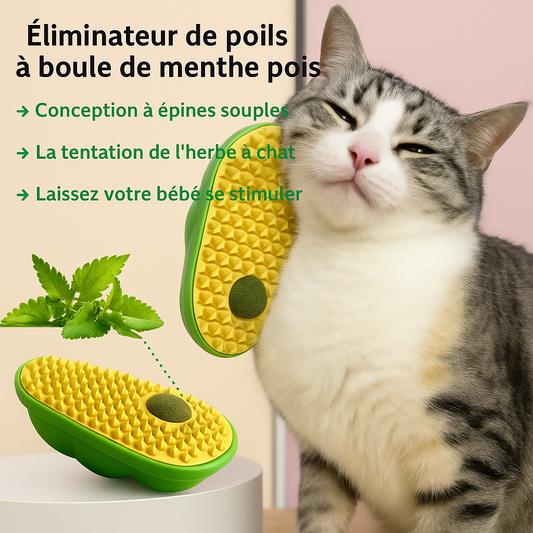 Griffoir Auto-Serveur pour Chat – Amusement & Bien-être Assurés