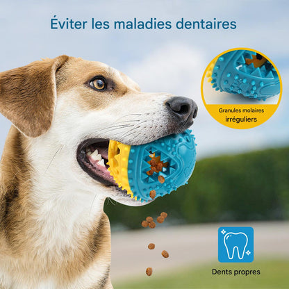 Jouet Balle Interactive pour Chien – Anti-Morsure, Distributeur de Friandises & Nettoyage des Dents