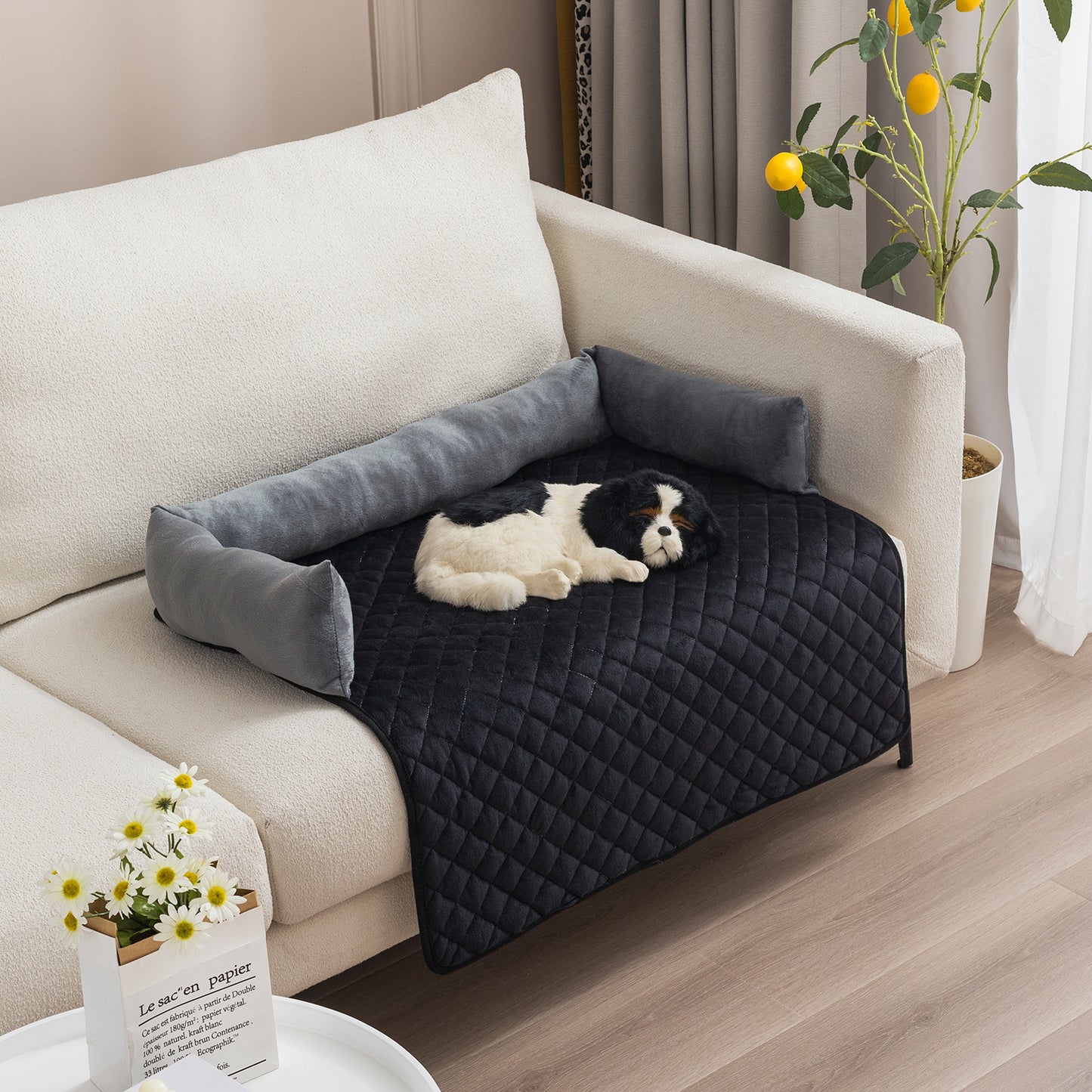 Canapé-Lit pour Chien & Chat – Coussin Douillet & Protecteur de Meubles