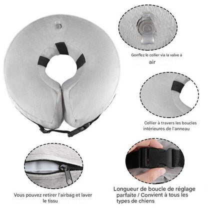 Collier Gonflable de Protection pour Chiens & Chats – Alternative Confortable à la Collerette Rigide