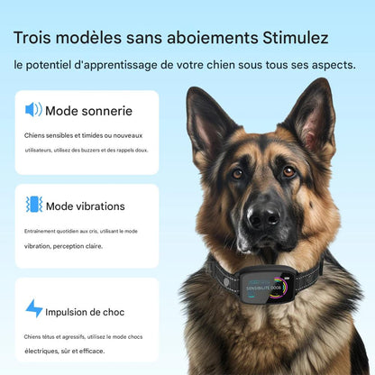 Collier Anti-Aboiement Intelligent pour Chien – Rechargeable, HD Display & Étanche IP67