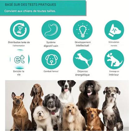 Jouet Distributeur de Friandises Ajustable pour Chien – Puzzle Interactif & Slow Feeder Anti-Ennui