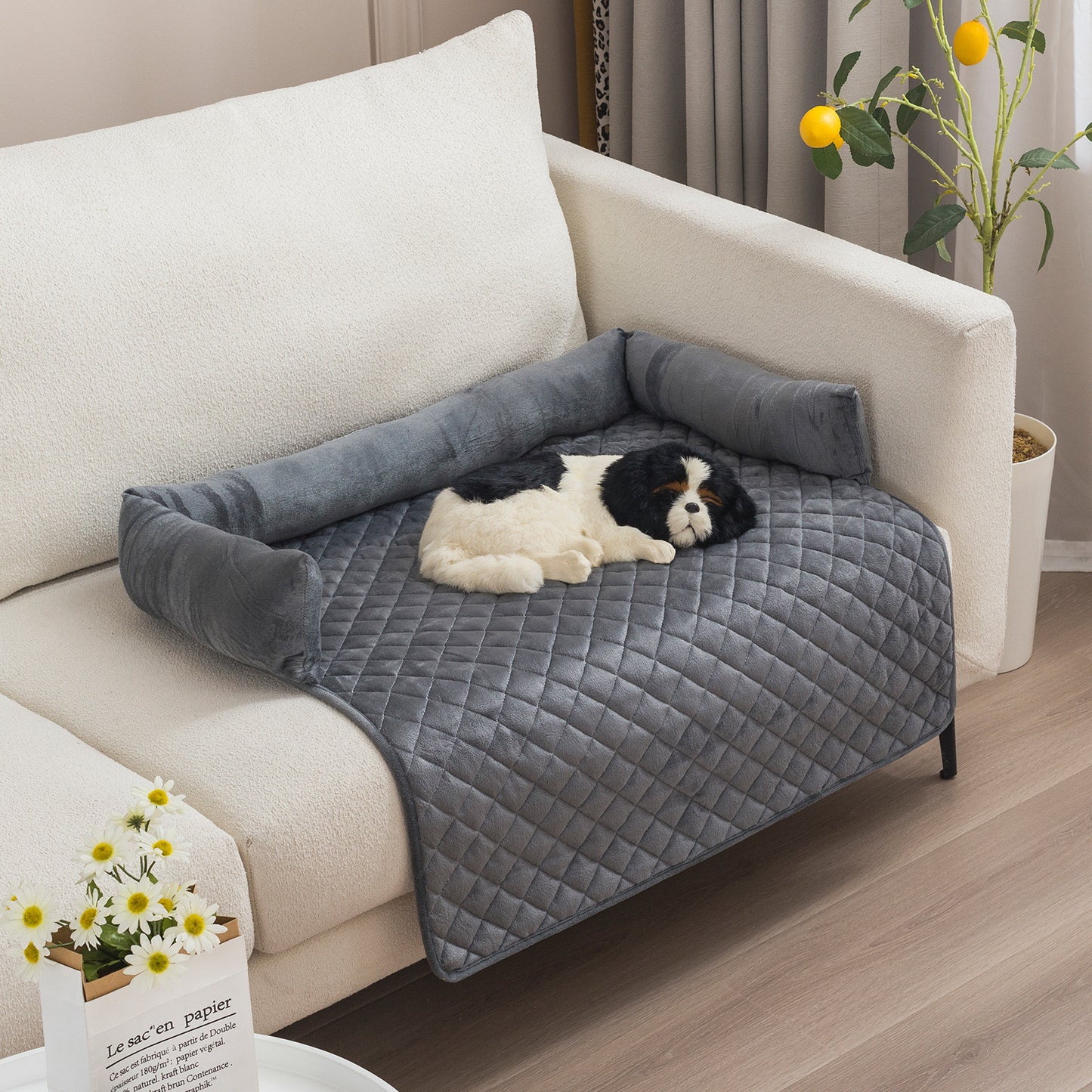 Canapé-Lit pour Chien & Chat – Coussin Douillet & Protecteur de Meubles