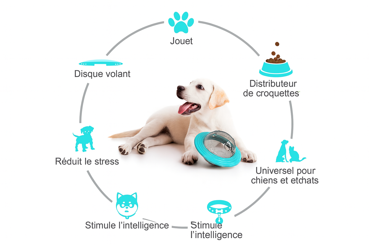 Balle Distributrice de Friandises pour Chien – Jouet Interactif & Antistress