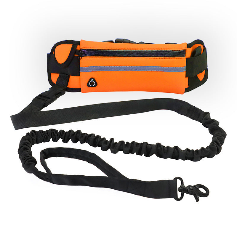 Laisse Mains Libres pour Chien – Ceinture de Marche avec Bungee Amortisseur et Poches de Rangement