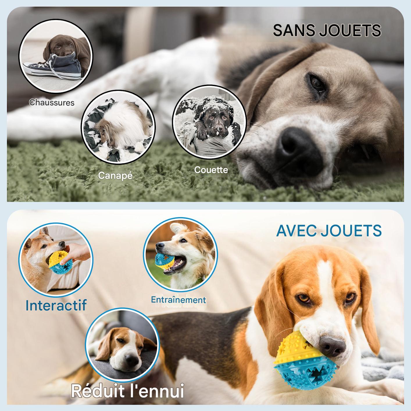 Jouet Balle Interactive pour Chien – Anti-Morsure, Distributeur de Friandises & Nettoyage des Dents