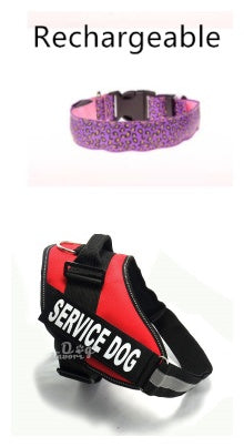 Collier LED Léopard pour Chien – Sécurité Nocturne & Style Tendance