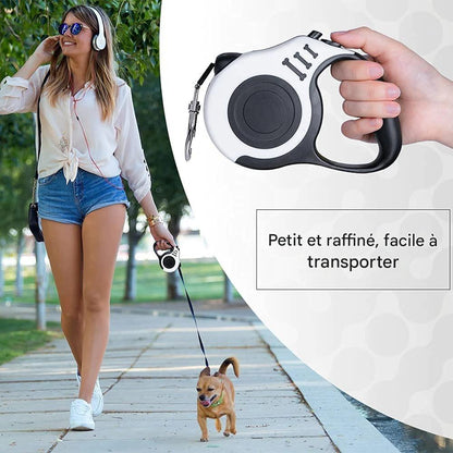 Laisse Rétractable Automatique Chien & Chat – 3m ou 5m | Nylon Résistant & Anti-enchevêtrement
