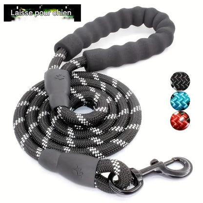 Laisse Élastique Mains Libres pour Chien – Réfléchissante & Confortable (Jogging & Running)
