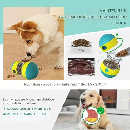 Jouet Distributeur de Friandises Ajustable pour Chien – Puzzle Interactif & Slow Feeder Anti-Ennui