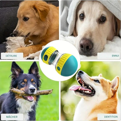 Jouet Distributeur de Friandises Ajustable pour Chien – Puzzle Interactif & Slow Feeder Anti-Ennui