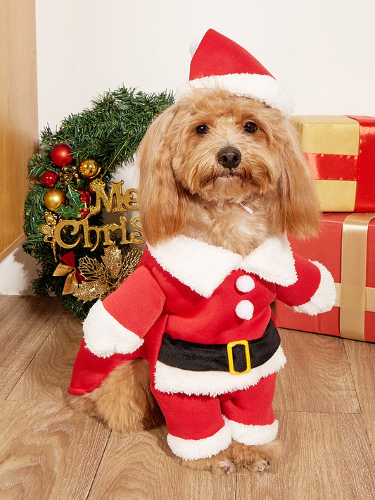 Costume de Noël pour Petit Chien – Tenue Festive avec Chapeau