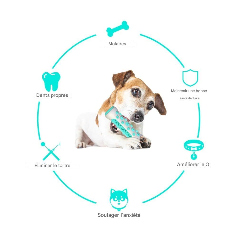 Jouet à Mâcher Résistant pour Chien – Brosse à Dents 360° avec Couinement | Anti-Destruction & Nettoyage Dentaire