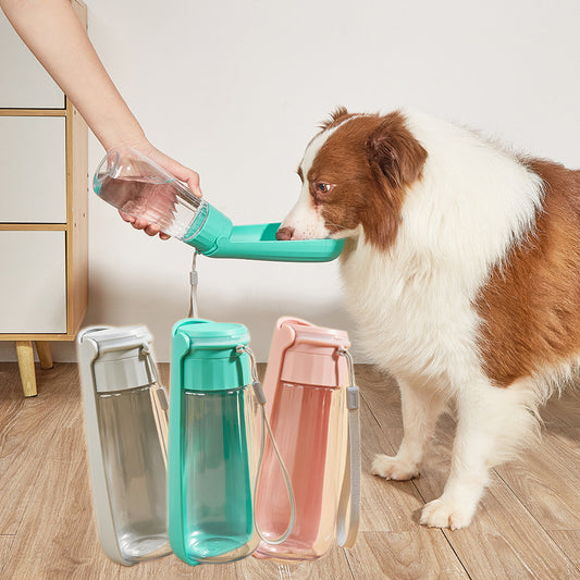 Gourde Pliable Portable pour Chiens – 450/550ml, Hydratation en Extérieur